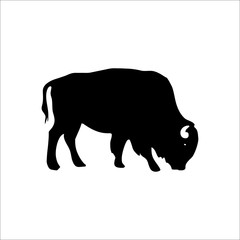 Buffalo silhouette. Vector Illustration