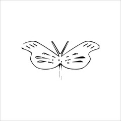 Butterfly icon. Vector Illustration