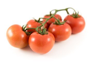 tomatoes on branch on white background