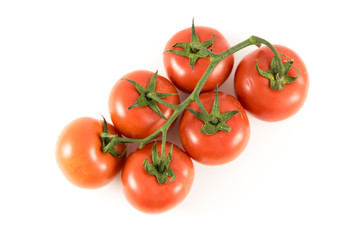 tomatoes on branch on white background