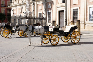 Fototapeta na wymiar Horse and carriage in Seville, Spaine