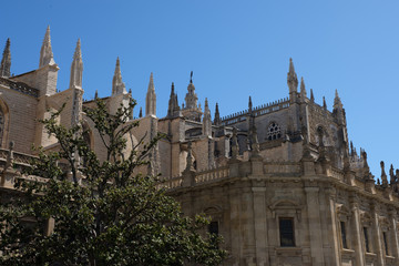 Fototapeta premium Gothische Kathedrale in Sevilla, Spanien (Andalusien)
