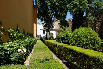 Garten im Königspalast Real Alcazar in Sevilla, Spanien (Andalusien)