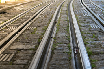 Fototapeta premium Close up image of tramway tracks on the road