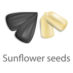 Sunflower seeds mockup. Realistic illustration of sunflower seeds vector mockup for web design isolated on white background
