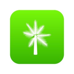 Big palm tree icon digital green for any design isolated on white vector illustration