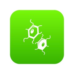 Fototapeta premium Bird flu virus icon green vector isolated on white background