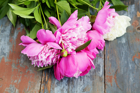 Peony background. Pink and peonies on wooden table with place for text. Spring flower peony. Happy Mothers Day. Mother's Day greetings card. Mothers Day gift. Copy space.