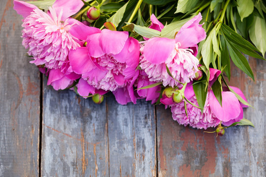Peony background. Pink and peonies on wooden table with place for text. Spring flower peony. Happy Mothers Day. Mother's Day greetings card. Mothers Day gift. Copy space.