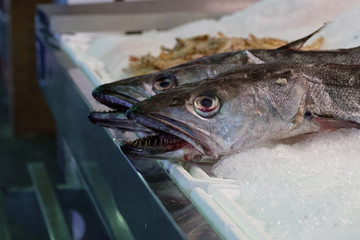 Fische auf dem Markt in Sevilla, Spanien