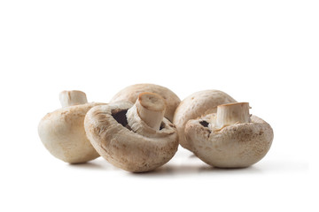 Assembled champignons