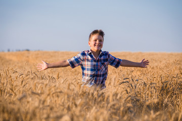 Naklejka na ściany i meble young boy running on field with ripe wheat