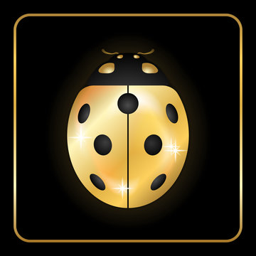 Ladybug gold insect small icon. Golden lady bug animal sign, isolated on black background. 3d volume design. Cute jewelry ladybird design. Cartoon lady bird closeup beetle. Vector illustration