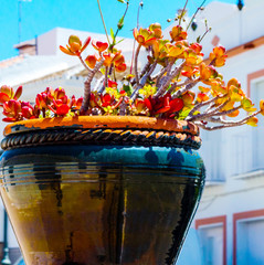 Fototapeta premium beautiful ceramic flower pot on a pedestal with flowers, decoration of urban space,.outdoor decoration