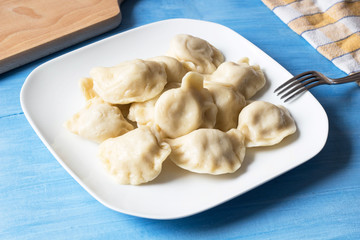 Fototapeta na wymiar fresh polish dumplings, pierogi ruskie