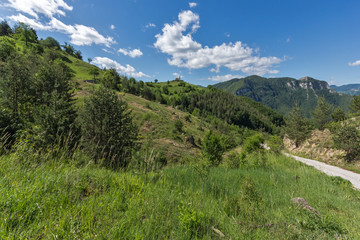 Amazing landscape of Green Hills near Village of Borovo in Rhodope Mountains, Plovdiv region, Bulgaria