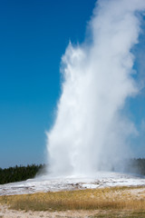 Old faithful