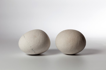 Two stones on white background
