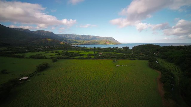 Aerial Hawaii Kauai Hanalei Bay November 2017 Sunny Day 4K Wide Angle Inspire 2 Prores

Aerial video of Hanalei Bay in Kauai Hawaii on a sunny day.