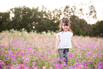Naklejka na ściany i meble Little girl in a purple flower field during the evening golden light in the summer