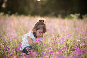 Little girl with dark hair in a purple flower field during the evening golden light in the summer