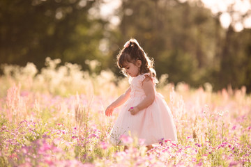 Fototapeta na wymiar Little girl in a purple flower field during the evening golden light in the summer. Wearing a pink princess dress.