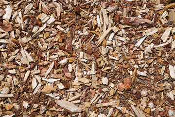 Gravel Bark And Wood Chip Background