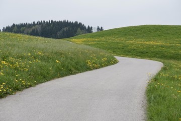 Winding Road through Meadow, Overcast Day