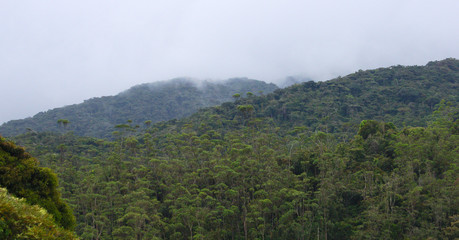 Cloudy wooded Cameron highlands mountains 