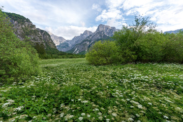 Totes Gebirge im Almtal