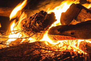 Fototapeta premium camp fire at night very close up 