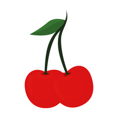 fresh cherries fruits icon vector illustration design