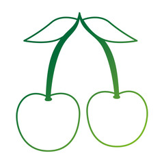 fresh cherries fruits icon vector illustration design