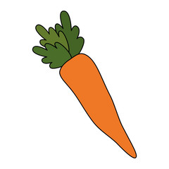 fresh carrot vegetarian food vector illustration design