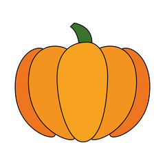 fresh pumpkin vegetarian food vector illustration design
