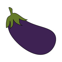 fresh eggplant vegetarian food vector illustration design