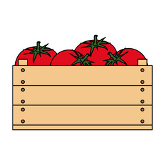 fresh tomatoes in wooden box vegetarian food vector illustration design