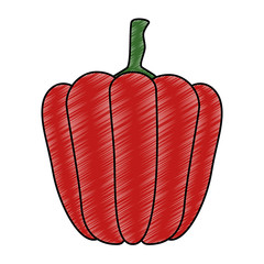 fresh pepper vegetarian food vector illustration design