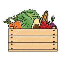 group of vegetables in wooden box vector illustration design