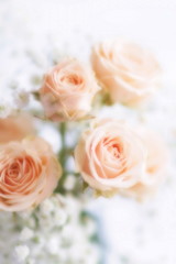 Blur effect, soft focus flowers background with bouquet of pale pink  roses.Close up. Beautiful Holiday background