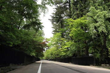 角館　武家屋敷　新緑　5月