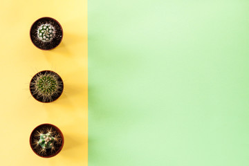 Green background with copy space and yellow stripe with three cactus.