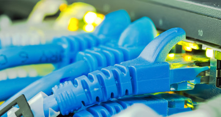 Macro of Ethernet cables with blue color connector plug in to equipment