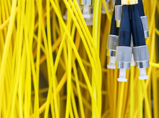 Yellow optical fiber with connector of FC type pig tail in server room