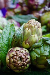 Obraz premium アーティーチョーク