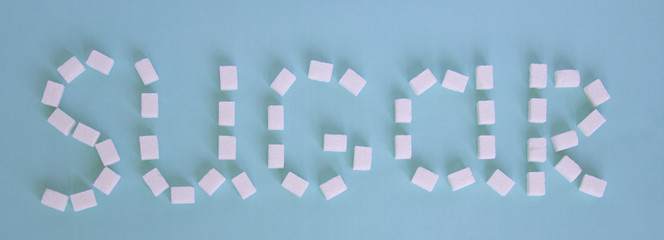 The inscription "sugar" cubes of refined sugar in trendy pastel cold blue background