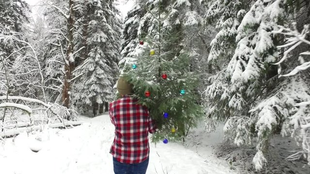 a logger carries a Christmas tree from the forest