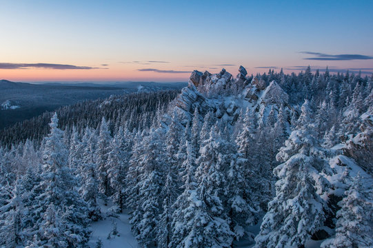 Fototapeta Snow-covered forest in the mountains at dawn.