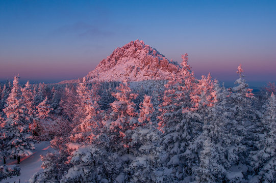 Fototapeta Snow-covered forest in the mountains at dawn.