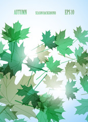 Leaflet cover presentation abstract geometric background, layout in A4 set technology brochure flyer design template vector shadow